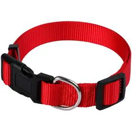 ANIMALIS Collier Basic 25mm et 44/65cm pour Chien Rouge 70g