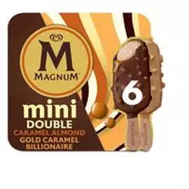 MAGNUM Mini bâtonnet glacé double caramel et amande 282g