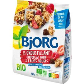 BJORG Céréales Croustillant fruit rouge choco Bio 450g