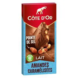 CÔTE D'OR Chocolat au lait à la pointe de sel et aux amandes caramélisées 180g