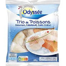 ODYSSÉE Trio de poissons, saumon, cabillaud, colin (lieu) 600g