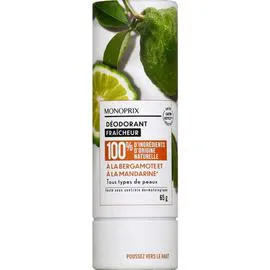 MONOPRIX Déodorant stick fraîcheur 65g