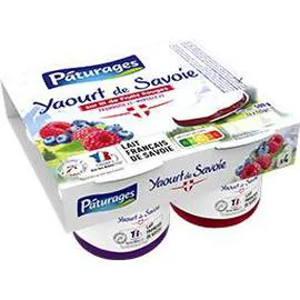 PÂTURAGES Yaourt de Savoie sur lit de fruits rouges (framboise et myrtille) 500g