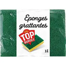 TOP BUDGET Eponges grattantes x4