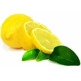 - Citron jaune Primofiori l'unité