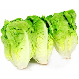 CARREFOUR LE MARCHÉ Salade sucrine x3