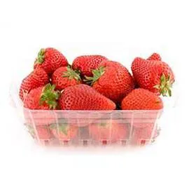 INTERMARCHÉ, LE CHOIX DU PRIMEUR Fraises 500g