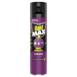 RAID Insecticide Aérosol Multi-Insectes 400ml