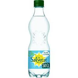 SALVETAT Eau gazeuse minérale pauvre en sodium 50cl