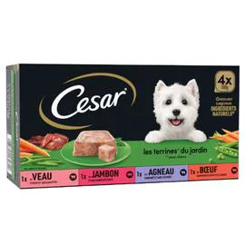 CÉSAR Pâtée pour chien aux légumes 4x300g