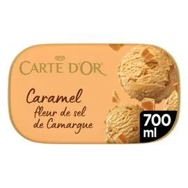 CARTE D'OR Crème Glacée caramel fleur de sel de Camargue 373ml