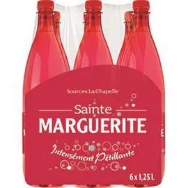 SAINTE MARGUERITE Eau intensément pétillante source Marguita 6x1,25l