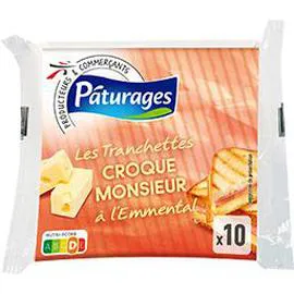 PÂTURAGES Les Tranchettes Croque Monsieur à l'emmental 10x20g