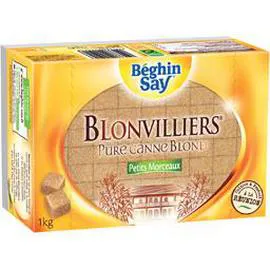 BÉGHIN SAY, BLONVILLIERS Sucre pure canne petits morceaux 1kg