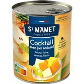 ST MAMET Fruits au sirop Cocktail 500g