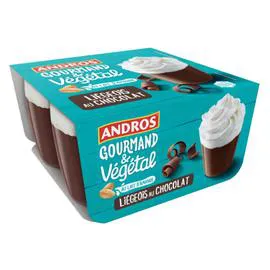 ANDROS Dessert végétal liégeois au chocolat au lait d'amande 4x90g