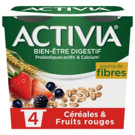 DANONE, ACTIVIA Yaourt aux fruits rouges et céréales bifidus 4x115g