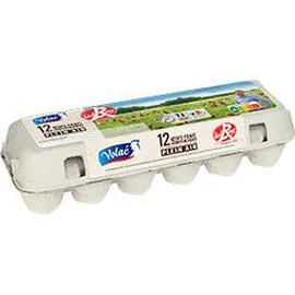 VOLAÉ Oeufs frais de poules élevées en plein air Label Rouge x12