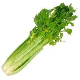 INTERMARCHÉ, LE CHOIX DU PRIMEUR Céleri BRANCHE VERT 150g