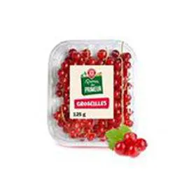 MARQUE REPÈRE, PANIER DU PRIMEUR Groseilles 125g