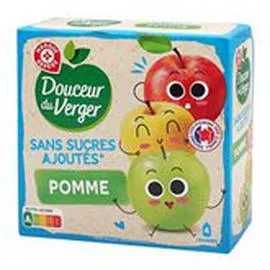  Dessert fruitier pomme Douceur du Verger s/sucre 4x90g