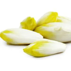 - Endives 1kg