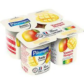 PÂTURAGES Yaourt mangue 500g
