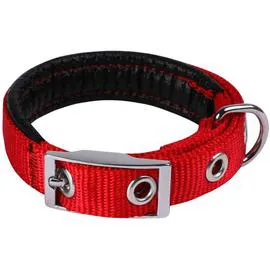 ANIMALIS Collier Basic Confort pour Chien 25mm - 65cm, Rouge l'unité