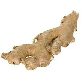 INTERMARCHÉ, LE CHOIX DU PRIMEUR Gingembre 150g