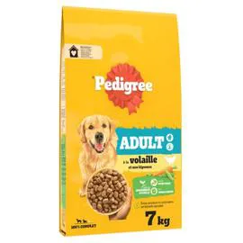 PEDIGREE Croquettes pour chien Adulte à la volaille et aux légumes 7kg