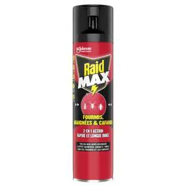 RAID Insecticide Aérosol 2en1 Fourmis Araignées et Cafards 400ml