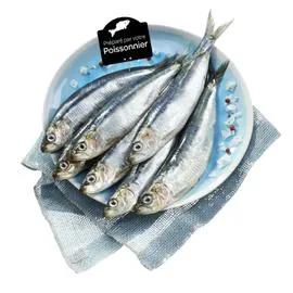  Sardines Atlantique 600g