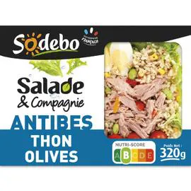 SODEBO Salade Antibes riz Oeuf thon 320g
