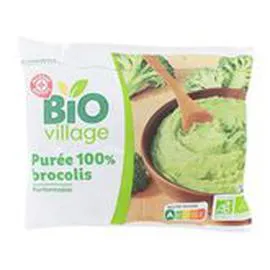 MARQUE REPÈRE, BIO VILLAGE Purée 100% brocolis Bio 450g