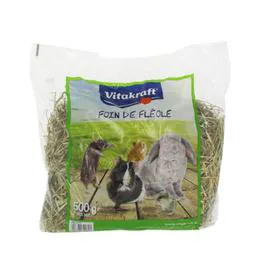 VITAKRAFT Foin pour rongeur de fléole 500g