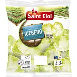 SAINT ELOI Salade Iceberg 300g