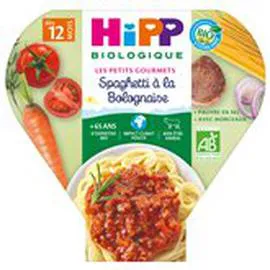 HIPP BIOLOGIQUE Spaghetti Bio A la bolognaise 12 mois 230g