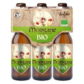 BRASSERIE LANCELOT Bière bio Morgane blonde 990ml