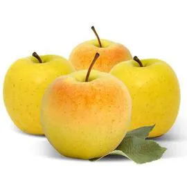 MONOPRIX Tout Cultiv'Acteur Pomme Golden 4 Fruits x4