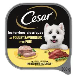CÉSAR Pâtée pour chien au poulet 300g