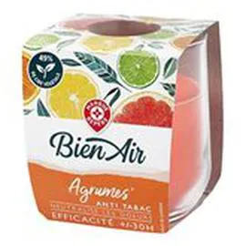 MARQUE REPÈRE, BIEN AIR Bougie Anti-tabac 30h l'unité