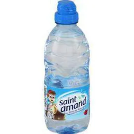 SAINT AMAND Eau minérale naturelle 33cl