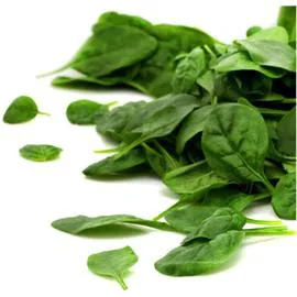 - Salade pousses d'épinards 125g