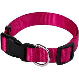 ANIMALIS Collier Basic pour Chien 20mm 39/60cm Fuschia 40g