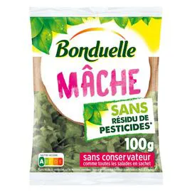 BONDUELLE Salade mâche 100g