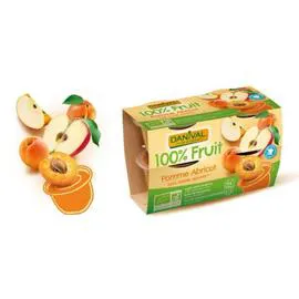 DANIVAL Dessert De Fruits Pomme Abricot 400g