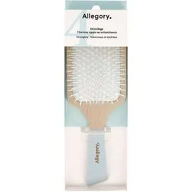 ALLEGORY Allegory Brosse à cheveux épais ou volumineux l'unité
