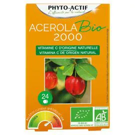 PHYTO-ACTIF Complément Alimentaire Vitamine C aux Fruits Rouges x24
