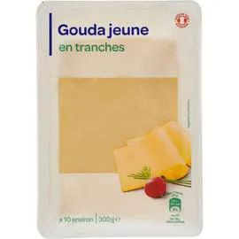 CARREFOUR Fromage en Tranches Gouda Jeune 300g