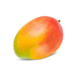 - Mangue Avion x1 x1